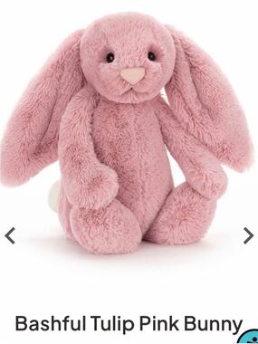 NWT Jellycat Bashful Tulip Pink Bunny